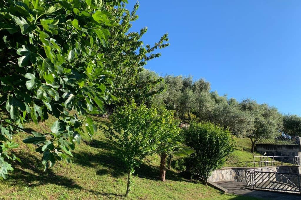 Cozy House On Iseo LakeFonteno エクステリア 写真